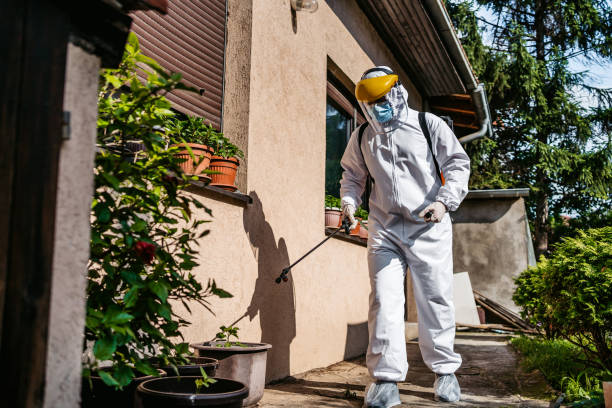 Spider Control Near Me in Silver Lakes, CA